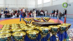 Сахалинские силовики сразились врукопашную