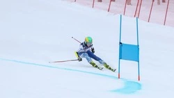 На «Горном воздухе» в Южно-Сахалинске прошли соревнования по горным лыжам