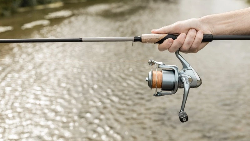 Сезон лова симы на Сахалине 2025 открыт: список мест, цены и правила