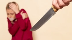 Жительницу Ноглик осудили за кражу и угрозу убийством