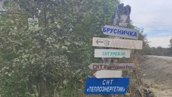 Опасных медведей изъяли у садоводов близ охотской трассы