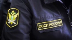 Больше 200 млн рублей задолженности по алиментам взыскали за полгода с сахалинцев