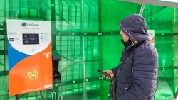 Мэрия Южно-Сахалинска просит у бизнеса деньги на электрозаправки