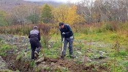 Жителей и гостей Южно-Сахалинска просят воздержаться от прогулок по «Весточке»