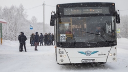 Дачникам Южно-Сахалинска добавили автобусы на маршрут до Весточки