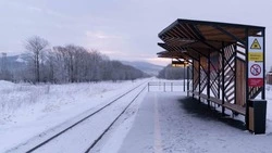 Число рейсов рельсобуса между Южно-Сахалинском и Дальним увеличат до 30