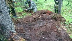 Останки японского офицера с золотой коронкой нашли на Сахалине