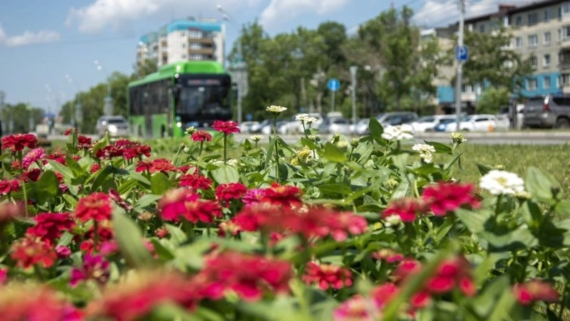 Сахалинская область является лидером по объему производства цветов на Дальнем Востоке