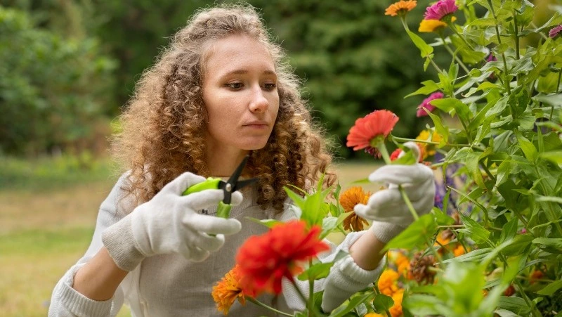 МТС прокачала сеть в Сахалинской области на приусадебных участках в разгар дачного сезона