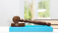 Жительницу Анивского района арестовали на 7 суток за уклонение от уплаты алиментов