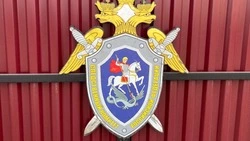 Следователи проверят информацию об избиении ребенка в детском саду Южно-Сахалинска 