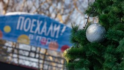 В городском парке Южно-Сахалинска начали подготовку к Новому году