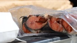 В Корсаковском районе ветеранов и людей с ограниченными возможностями обеспечили замороженной рыбой