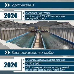 /attachments/66fd8d56e0c62ef25ca901f946eefe07a9d8320c/store/crop/0/0/1080/1080/800/0/0/0/4a2d1ec9411b52acc9b4e58f297b9601afac6db7959b085dafcd7e496af3/4a2d1ec9411b52acc9b4e58f297b9601afac6db7959b085dafcd7e496af3.jpeg.jpg