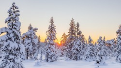20 градусов мороза и солнце: прогноз погоды на Сахалине и Курилах 25 января