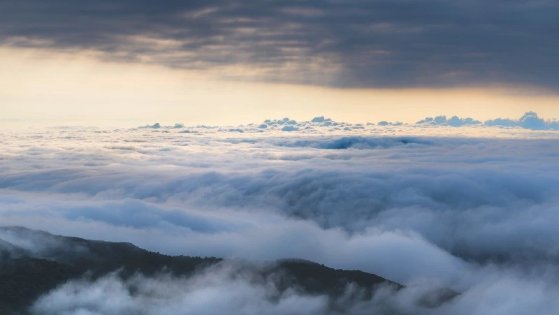 Синоптики уточнили прогноз погоды в Сахалинской области на 18 августа