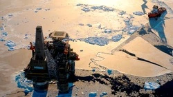 Дочерняя компания Shell продолжит работу в России