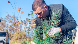 Областные депутаты решили сохранить лес в рамках одноименной акции