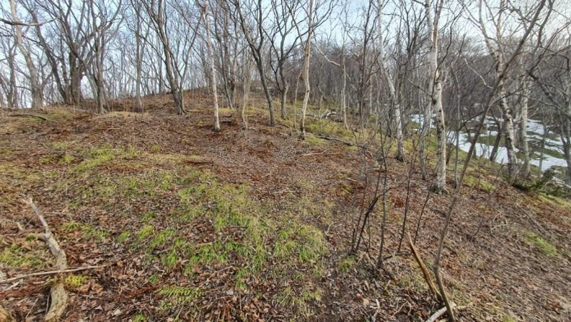 На юге Сахалина нашли останки советского воина, погибшего в 1945 году