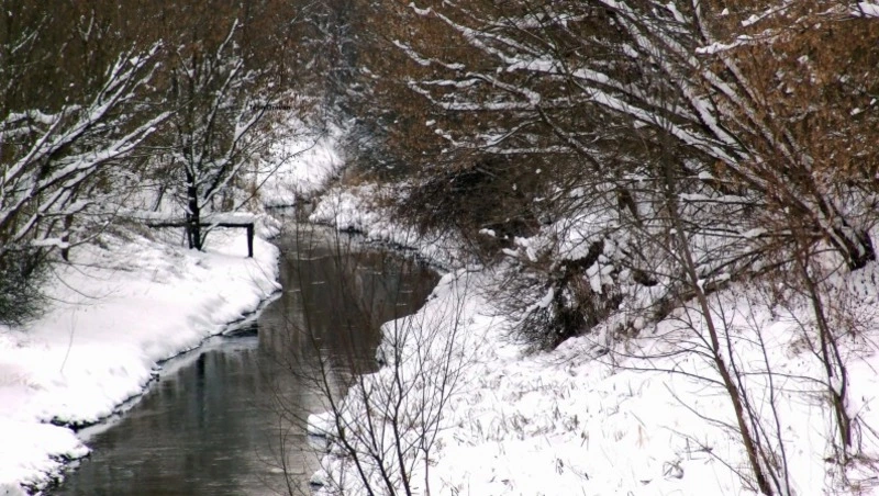 Церковный праздник 1 апреля 2025: что нельзя делать в этот день, приметы 