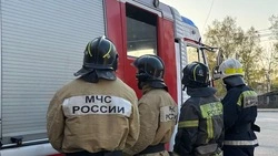 За сутки на Сахалине потушили три пожара