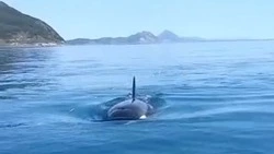 Правительство поручило провести аукцион на углеводородный участок недр на Сахалине