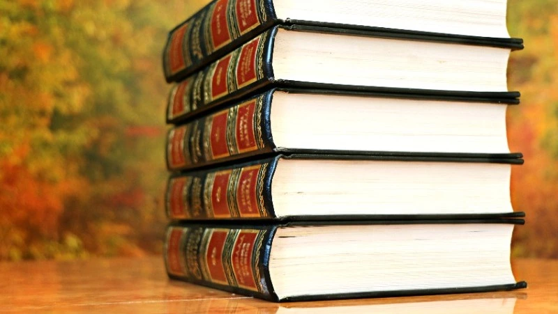 Тест на знания: только начитанный человек знает значение этих 8 слов — ТЕСТ