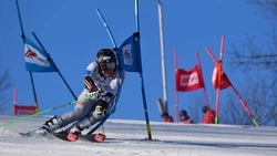 Дмитрий Пышкин стал четвертым в параллельном слаломе на Кубке России в Ленобласти