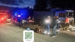 Водитель иномарки погиб в результате ДТП на сахалинской трассе на Охотское