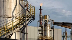 Японские компании рассматривают альтернативы сахалинскому природному газу