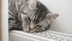 Сотни жителей Южно-Сахалинска останутся без горячей воды и тепла 30 октября