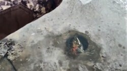 «Я его подсек!»: сахалинский рыбак упустил крупного кижуча