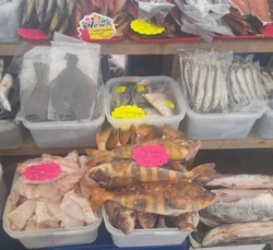 «Доступную рыбу» поддержали 300 предприятий Сахалина