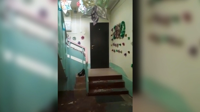 Сахалинцы превратили обычный подъезд дома в новогоднюю сказку