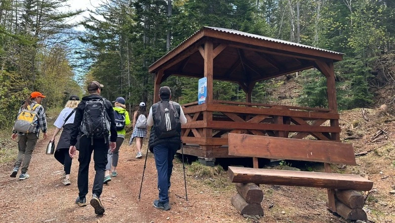 Жителей Сахалина пригласили провести лето на «Горном воздухе»