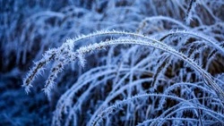 Снег и мороз до -18 градусов ждет жителей Сахалина и Курил 16 ноября