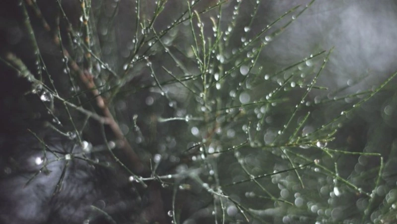 Синоптики уточнили прогноз погоды в Сахалинской области на 26 апреля