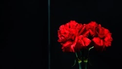 День памяти жертв геноцида советского народа появится в России в 2026 году