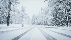 Снежно и ветрено будет в Сахалинской области 29 марта