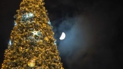 Тонны лески и тысячи шаров: топ необычных фактов о новогодних елках на улицах Южно-Сахалинска