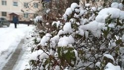 Синоптики спрогнозировали снег в Южно-Сахалинске 29 апреля 