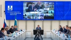 «Единая Россия» оценила итоги работы правительства в 1-й квартал на Сахалине