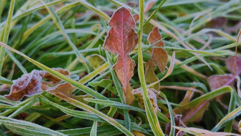 Дождь со снегом и сильный ветер накроют Южно-Сахалинск в День народного единства