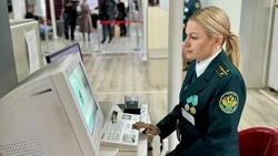 Сотрудники таможни Сахалина изъяли контрабанду на миллионы рублей в 2024 году
