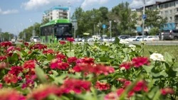 Сахалинская область является лидером по объему производства цветов на Дальнем Востоке