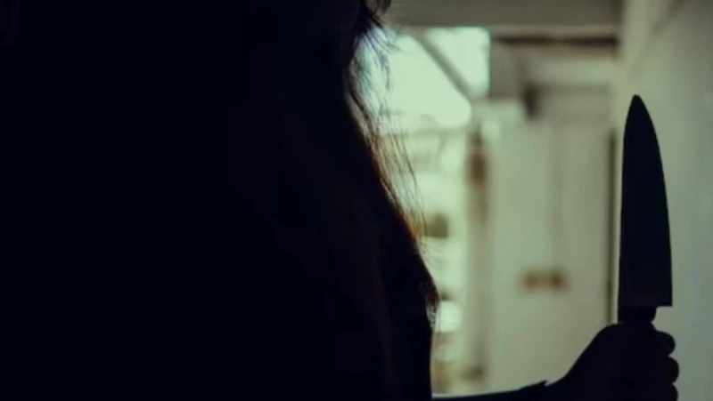 Женщину с судимостью обвинили в убийстве пенсионера в Холмском районе