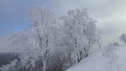 Юг Сахалинской области могут накрыть лавины 22 и 23 марта