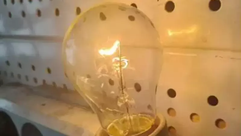 Сахалинец продает лампу с «нерожденным братом-близнецом» за 300 000 рублей