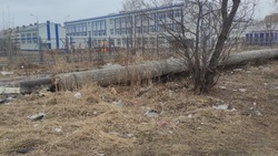 Жители Южно-Сахалинска указали на горы мусора возле гимназии № 1