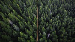 На нарушителей режима ООПТ лесоохрана наложила штрафы в размере 36 млн рублей 